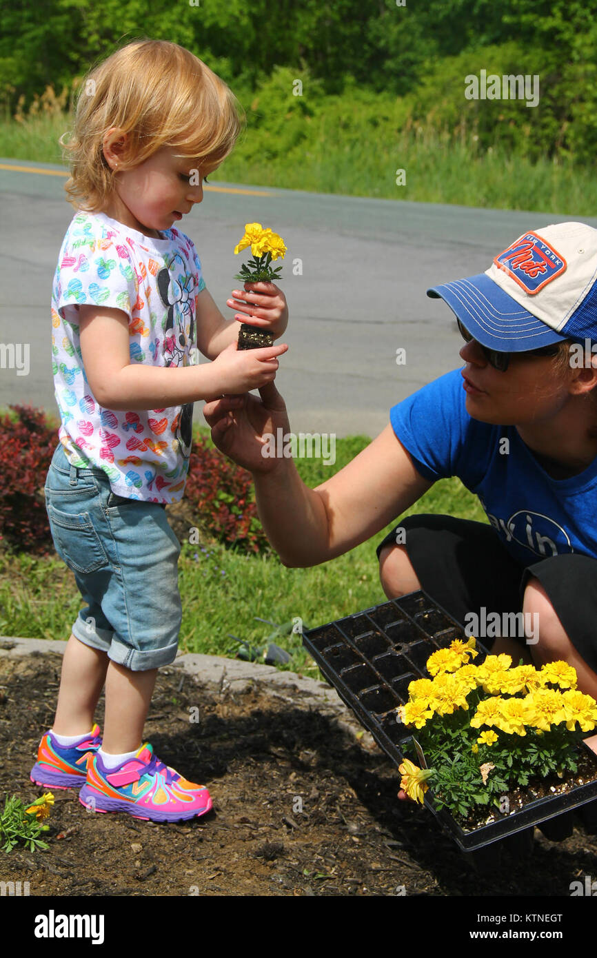 Ava Murphy, daughter of Joanne Murphy, and Christina Tygert help as members of the New York National Guard Youth Program plant a rainbow of red geraniums, yellow marigolds and blue lobelias on Armed Forces Day May 18 at the armory of the 42nd Infantry Division Headquarters in Troy, N.Y. The NYNG Youth Program aims to support children of military-affiliated members and planted flowers in Troy and in Latham, N.Y. (U.S. Army Photo by Spc. J.p. Lawrence, 42nd Infantry Division Public Affairs Office). Stock Photo