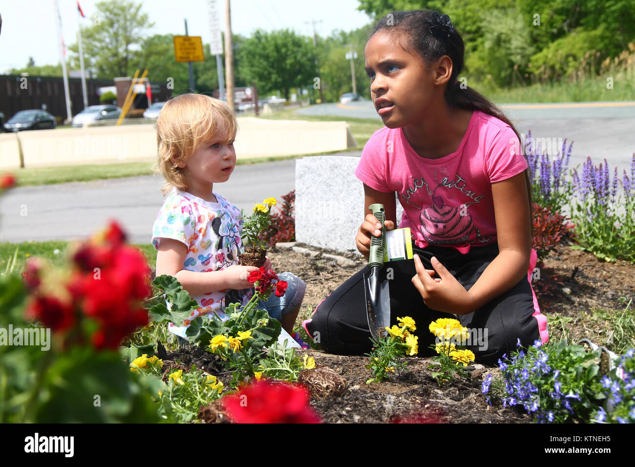 Ava Murphy, daughter of Joanne Murphy, and Anastasia Prince, daughter of Marisol Bonilla, help as members of the New York National Guard Youth Program plant a rainbow of red geraniums, yellow marigolds and blue lobelias on Armed Forces Day May 18 at the armory of the 42nd Infantry Division Headquarters in Troy, N.Y. The NYNG Youth Program aims to support children of military-affiliated members and planted flowers in Troy and in Latham, N.Y. (U.S. Army Photo by Spc. J.p. Lawrence, 42nd Infantry Division Public Affairs Office). Stock Photo