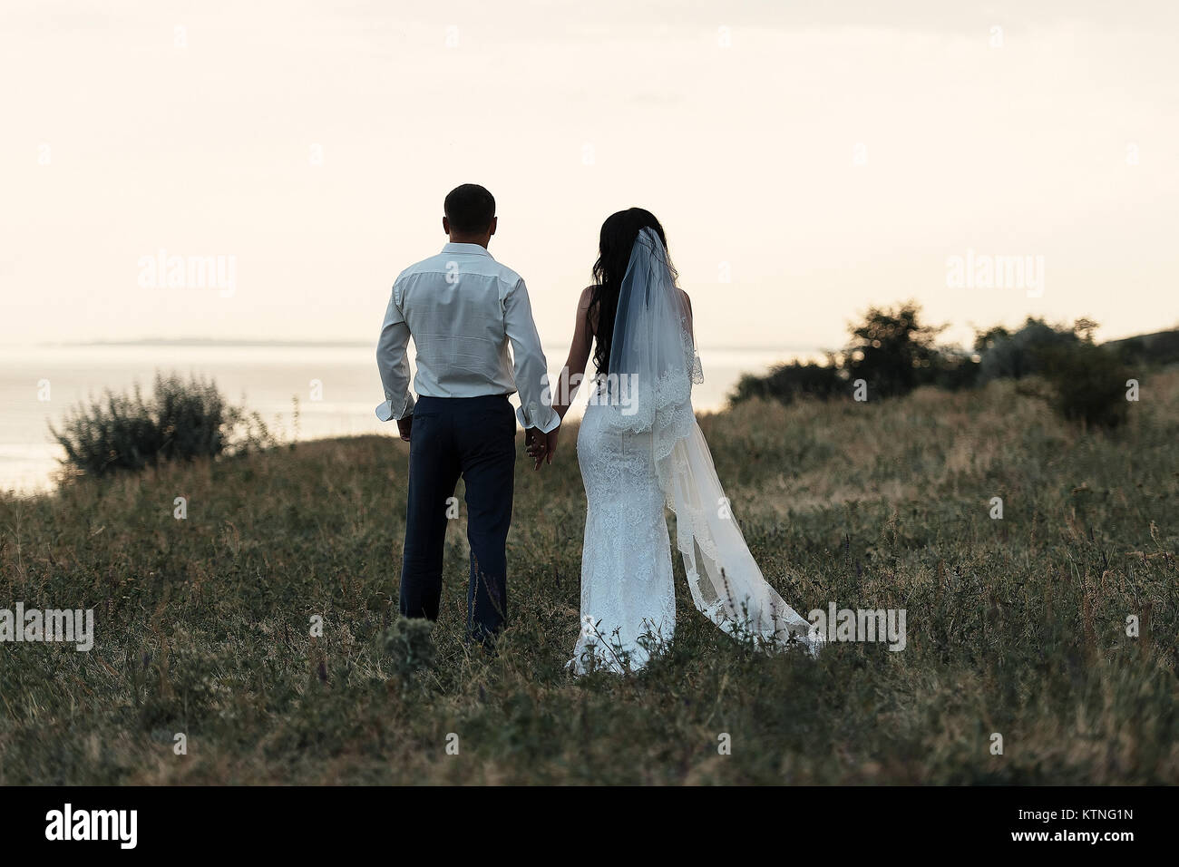 Bride and groom walking and holding hands in nature Stock Photo - Alamy