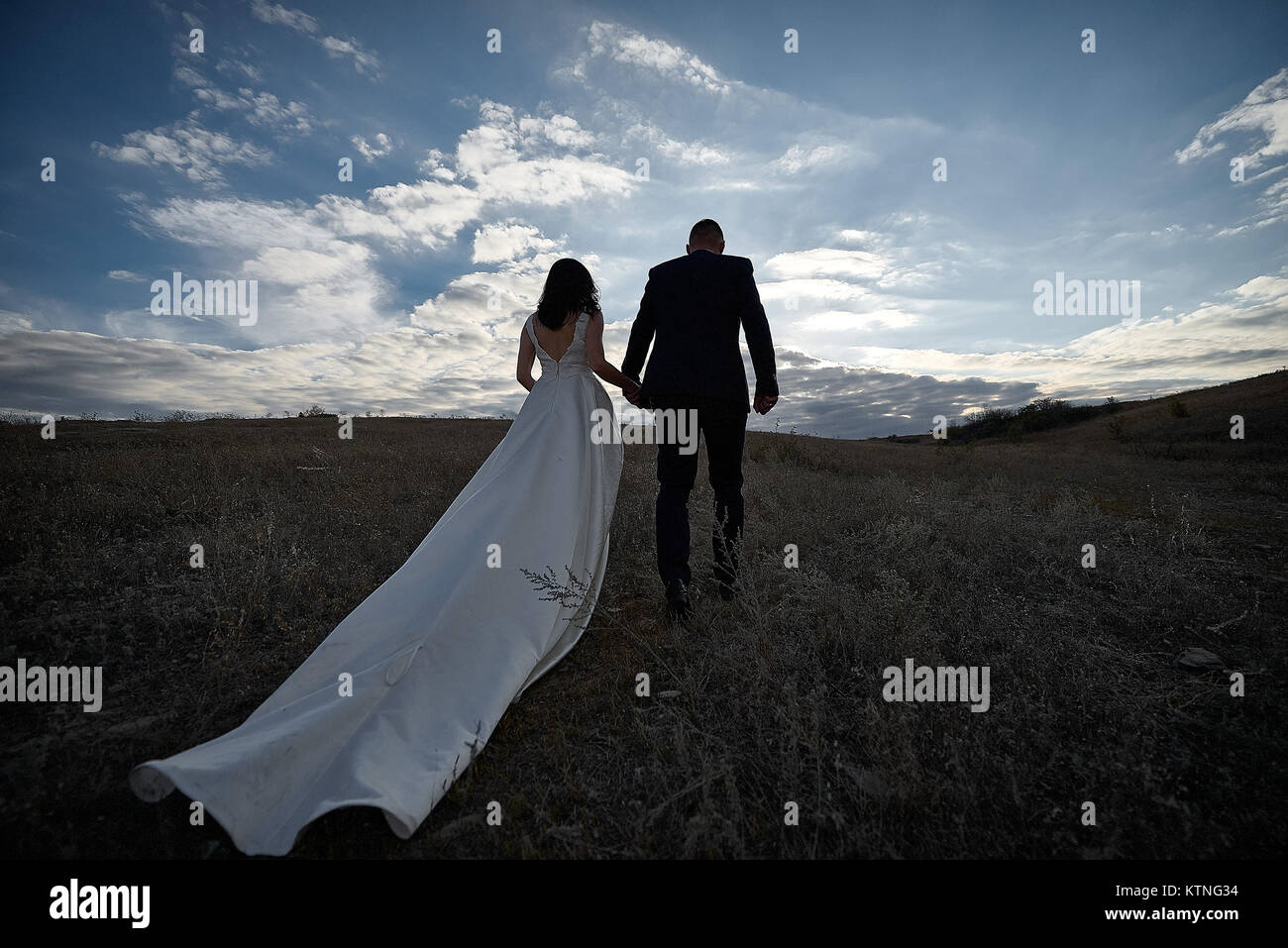 Bride and groom walking and holding hands in nature Stock Photo - Alamy