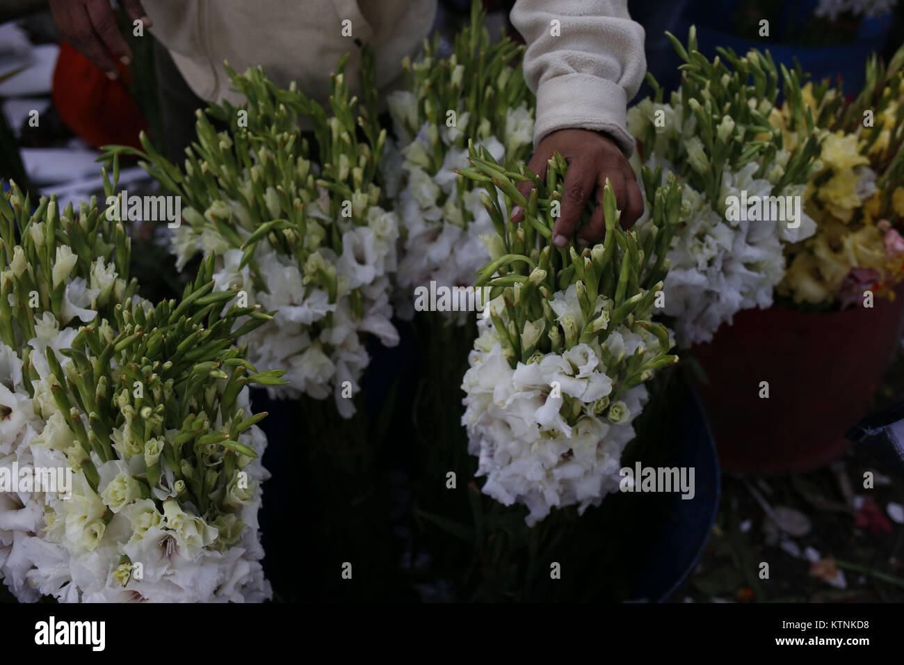 Dhaka, Bangladesh. 26th Dec, 2017. A flower seller arranges flowers