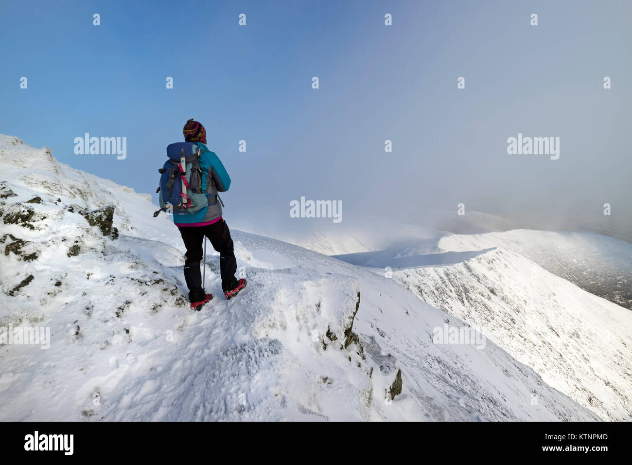 Cornices scales hires stock photography and images Alamy
