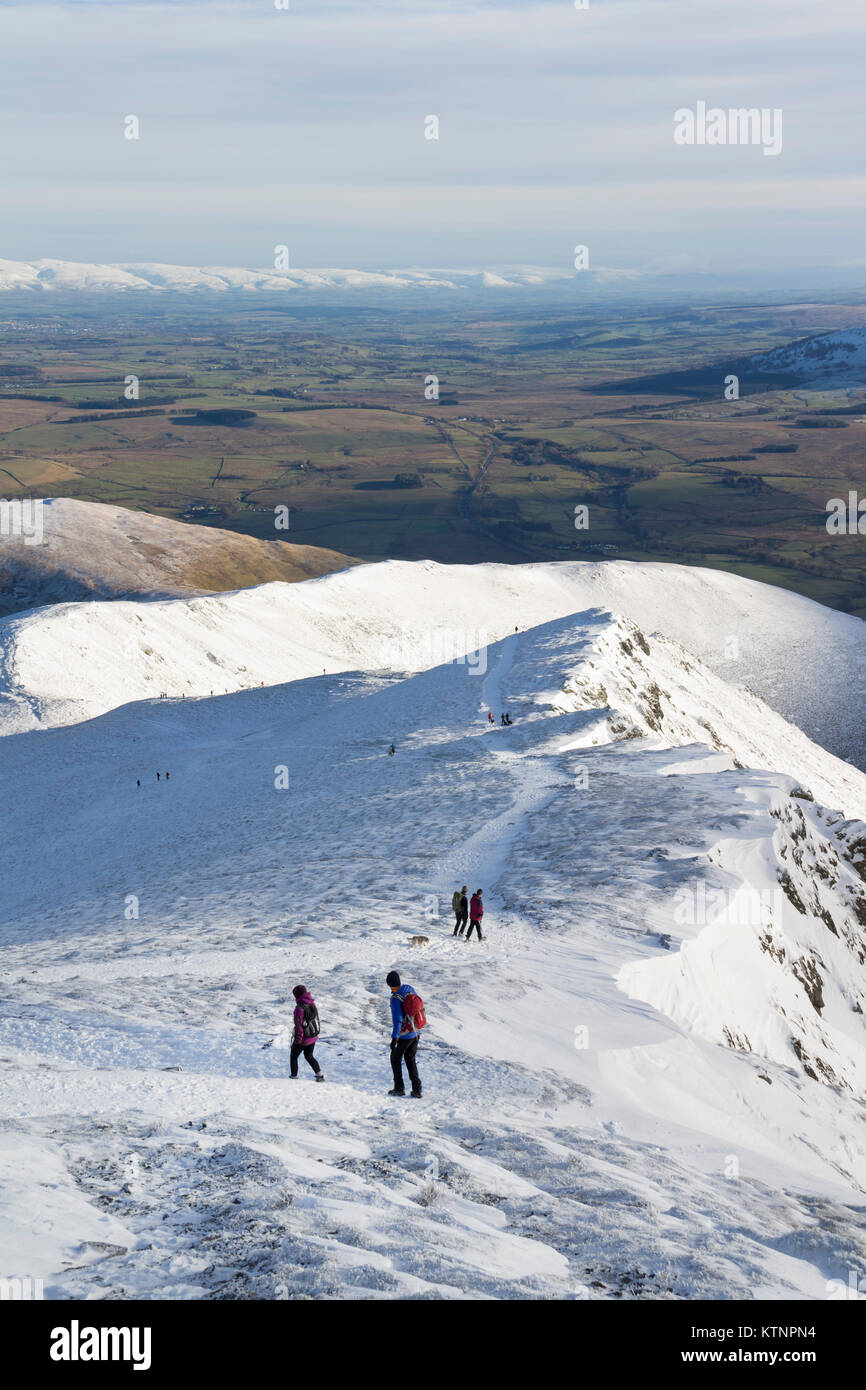 Cornices scales hires stock photography and images Alamy