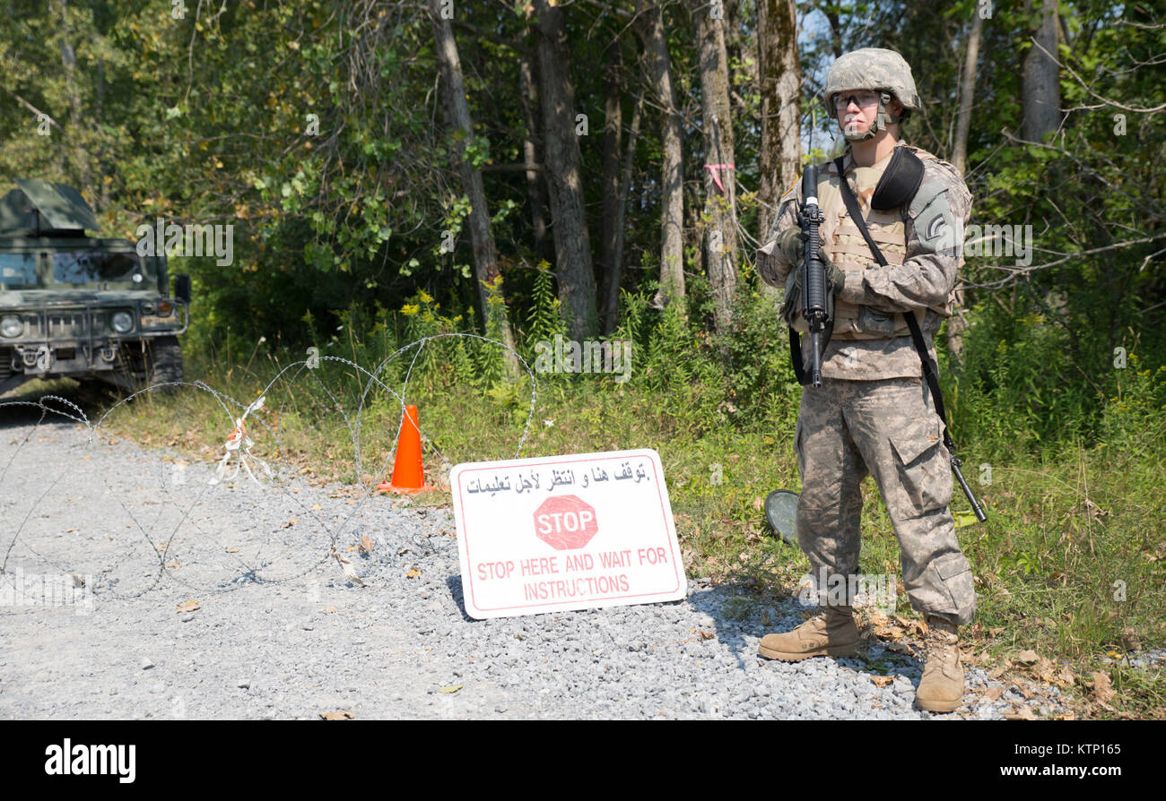 The 42nd Combat Aviation Brigade conducts the exercise of their mounted ...