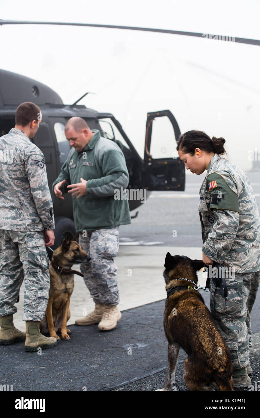 sr airman