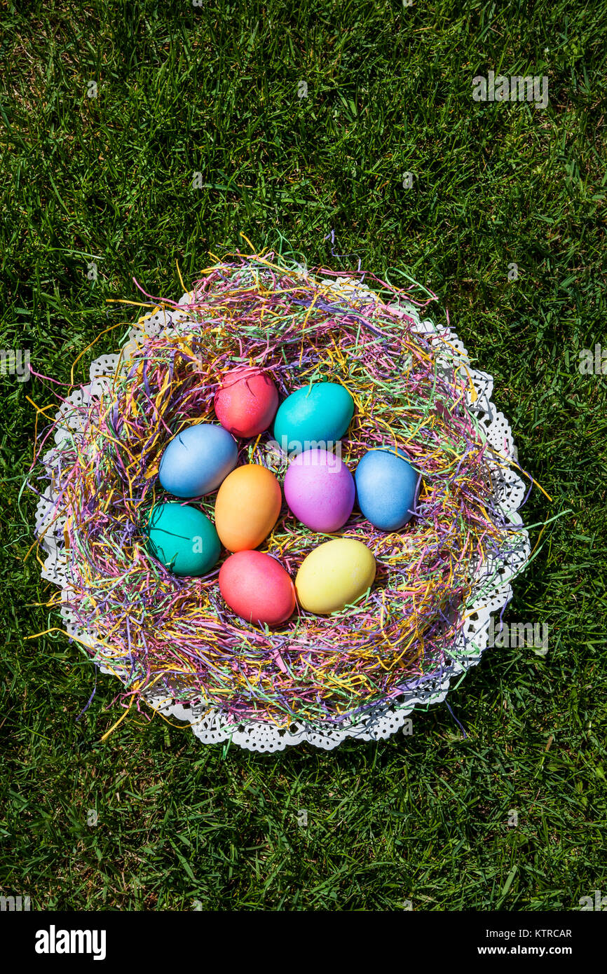 Colorful hard boiled dyed Easter eggs in a nest New Jersey USA
