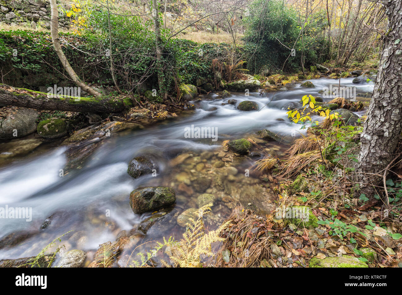 garganta-de-san-gregorio-hi-res-stock-photography-and-images-alamy