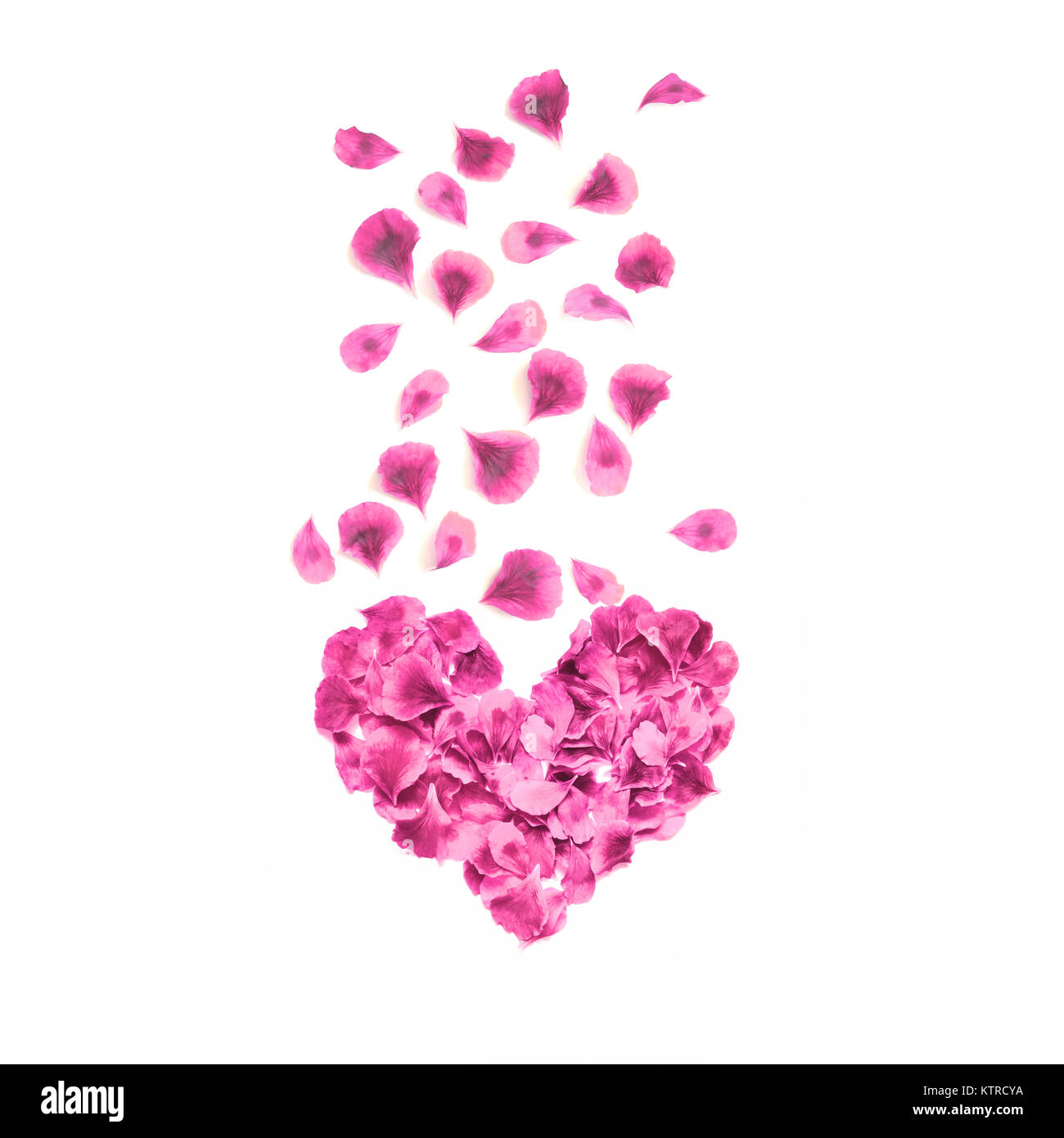 Heart made of rose petals. Red rose petals heart over white background