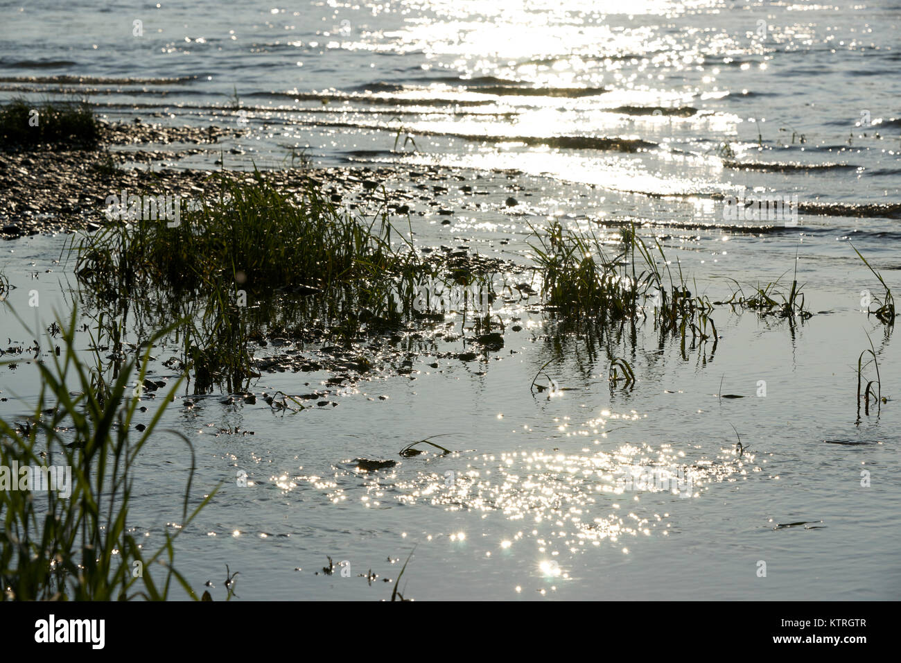 Part of rhine shore at Cologne city with grass, water and reflections at summer. Stock Photo