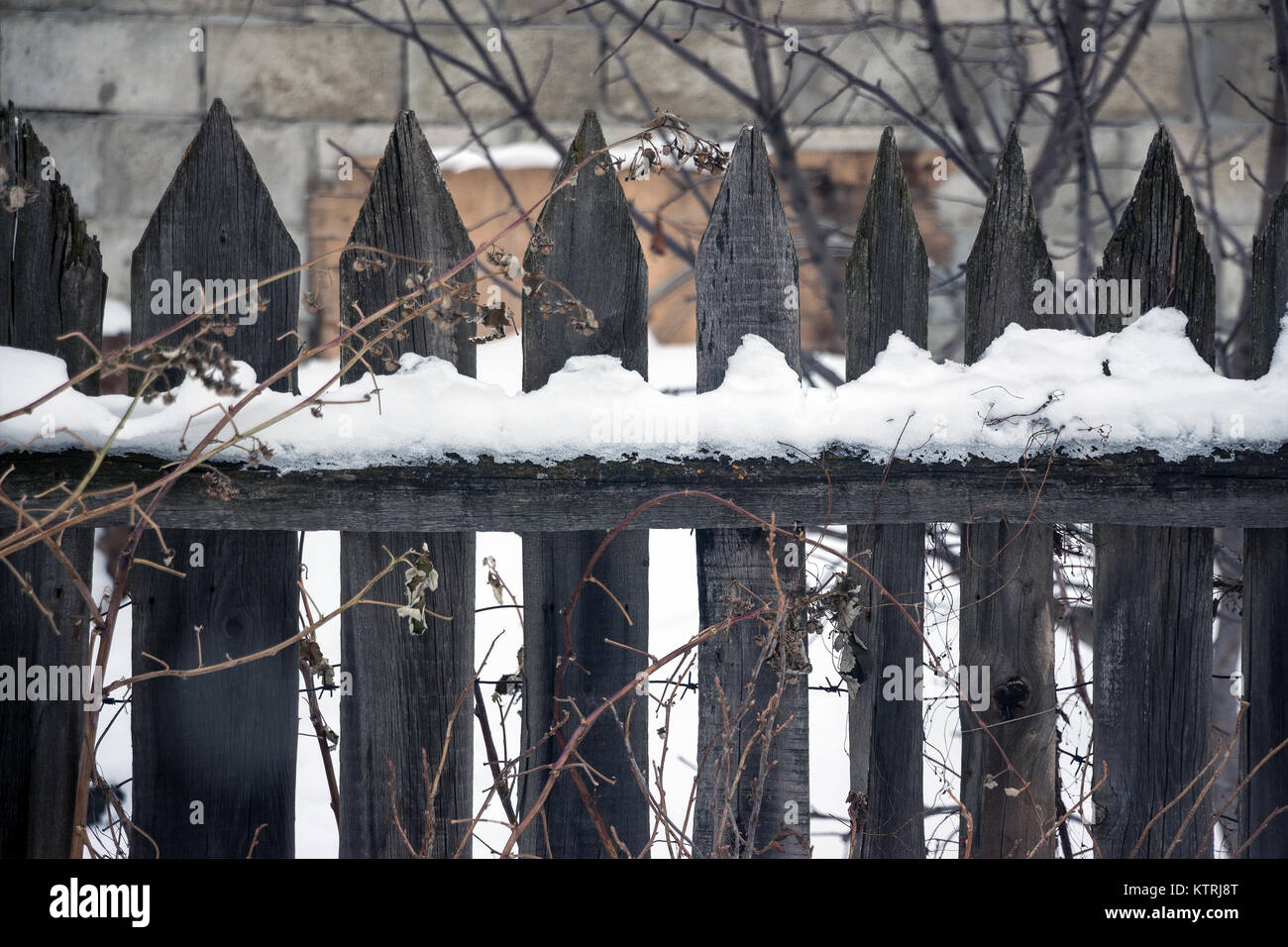 Old wooden fence of gray colour Stock Photo - Alamy