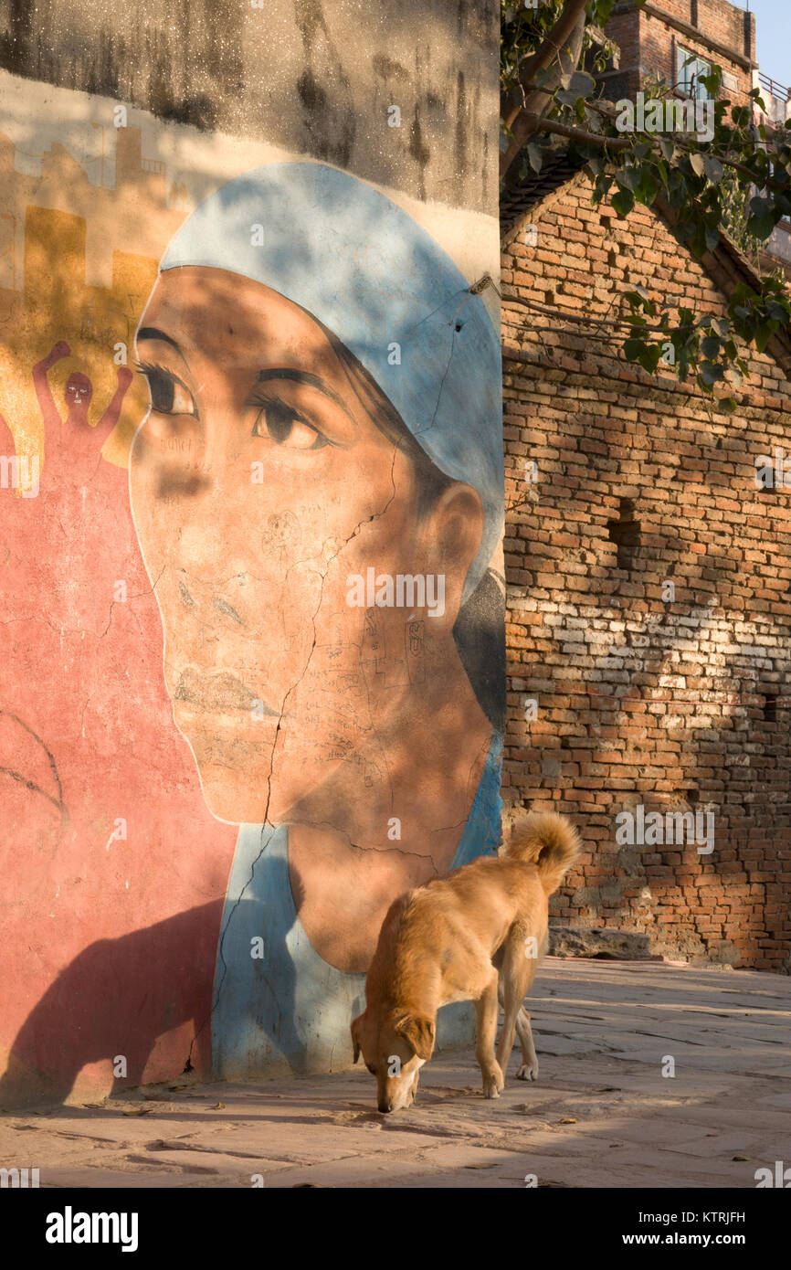Street dog walking past wall mural in Kathmandu, Nepal Stock Photo