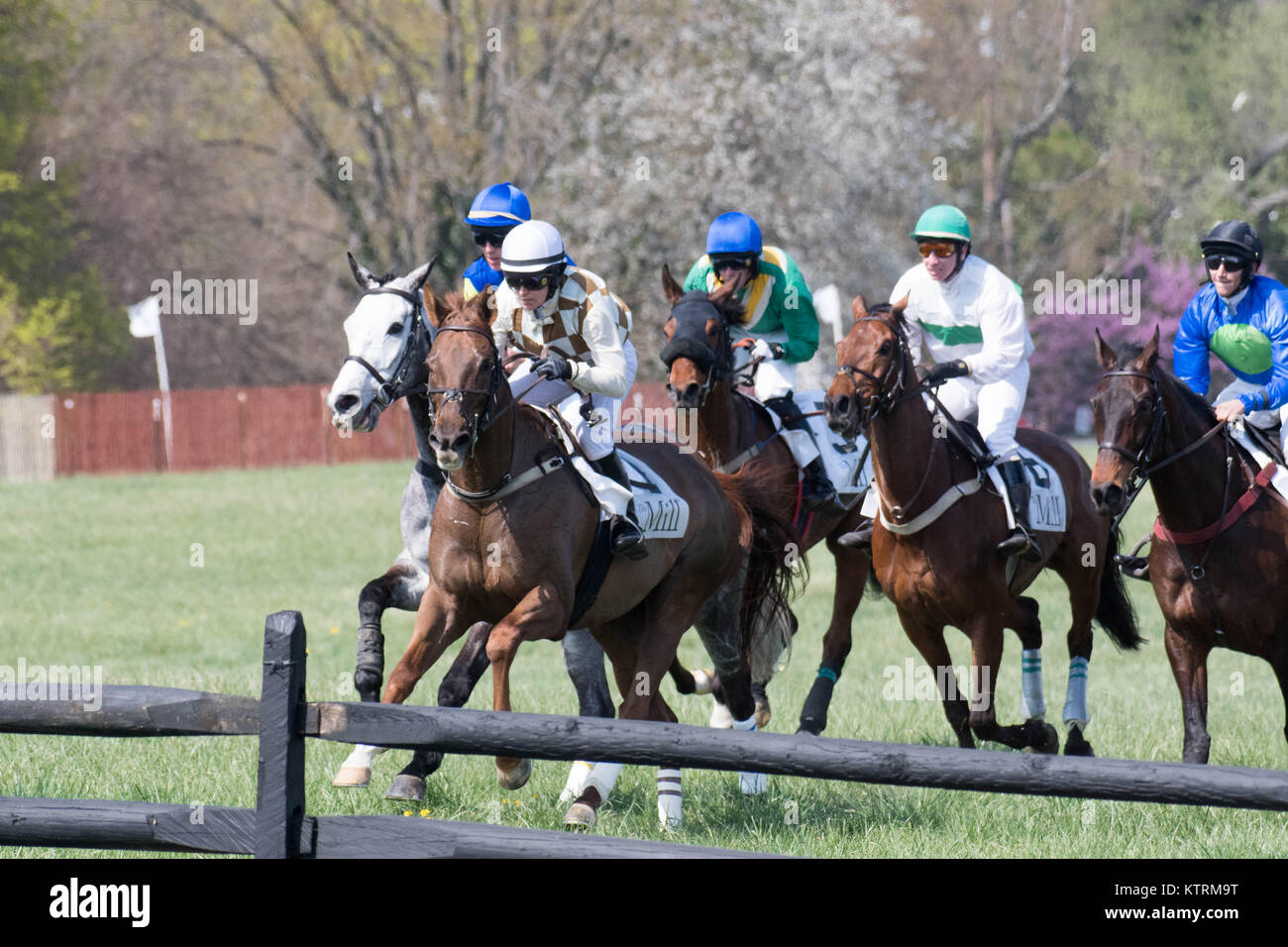 Jockeys contend for prime position approaching a hurdle. Stock Photo