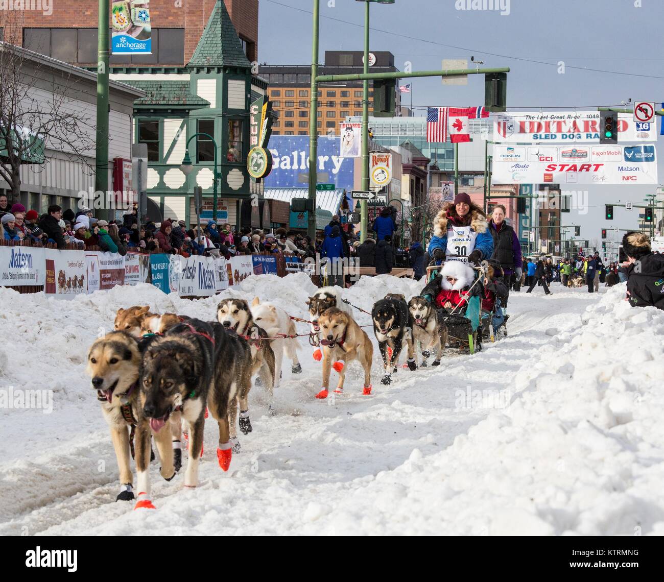 Sled dogs run through the snow during the start of the Iditarod Trail Sled Dog Race March 5