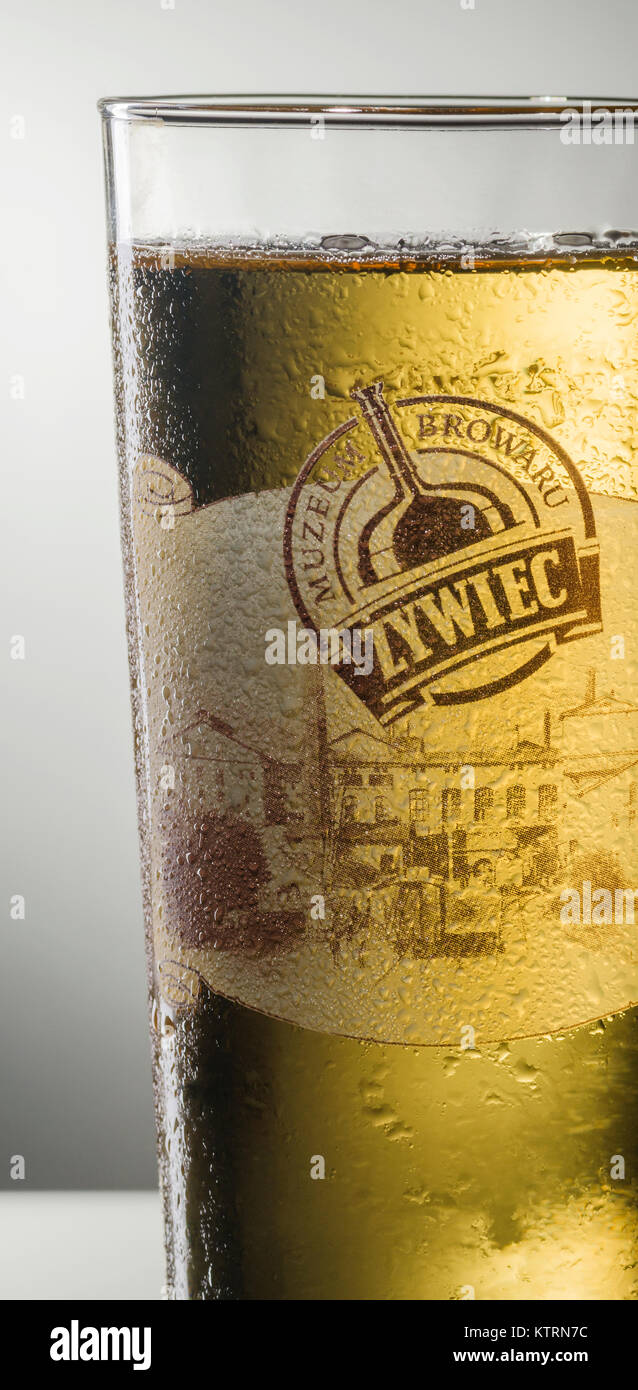 Glass of Zywiec beer isolated on gradient background. Zywiec Brewery started operating in 1856