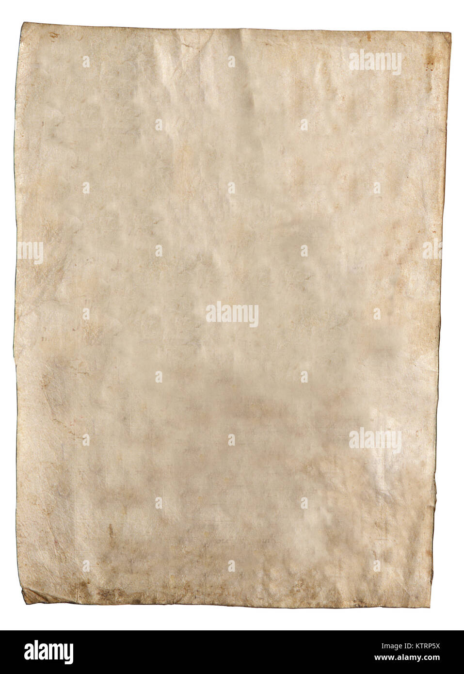 piece of blank vellum Stock Photo Alamy