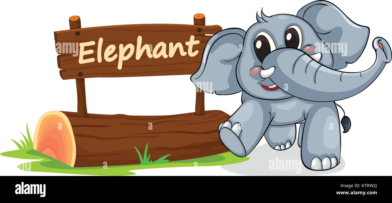 illustration of elephant and name plate on a white Stock Vector Image
