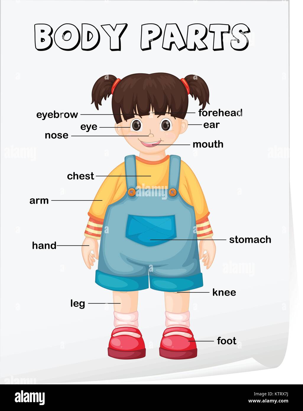 Vocabulary Worksheet Parts Of The Body Stock Vector Image And Art Alamy