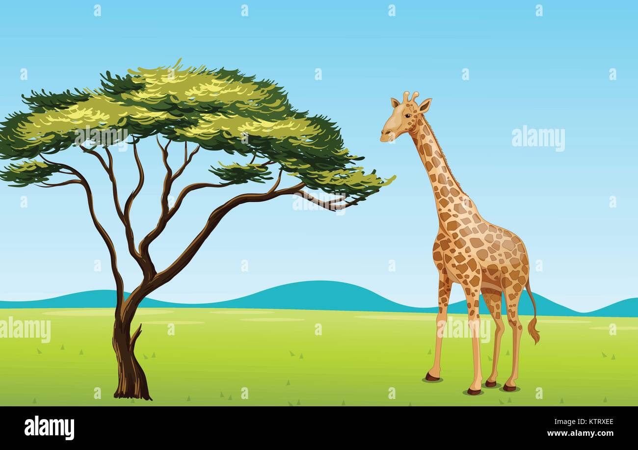 Illustration of African scene with giraffe Stock Vector Image & Art - Alamy