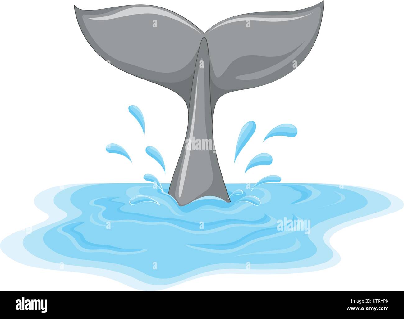 Illustration of a whale tail Stock Vector Image & Art - Alamy