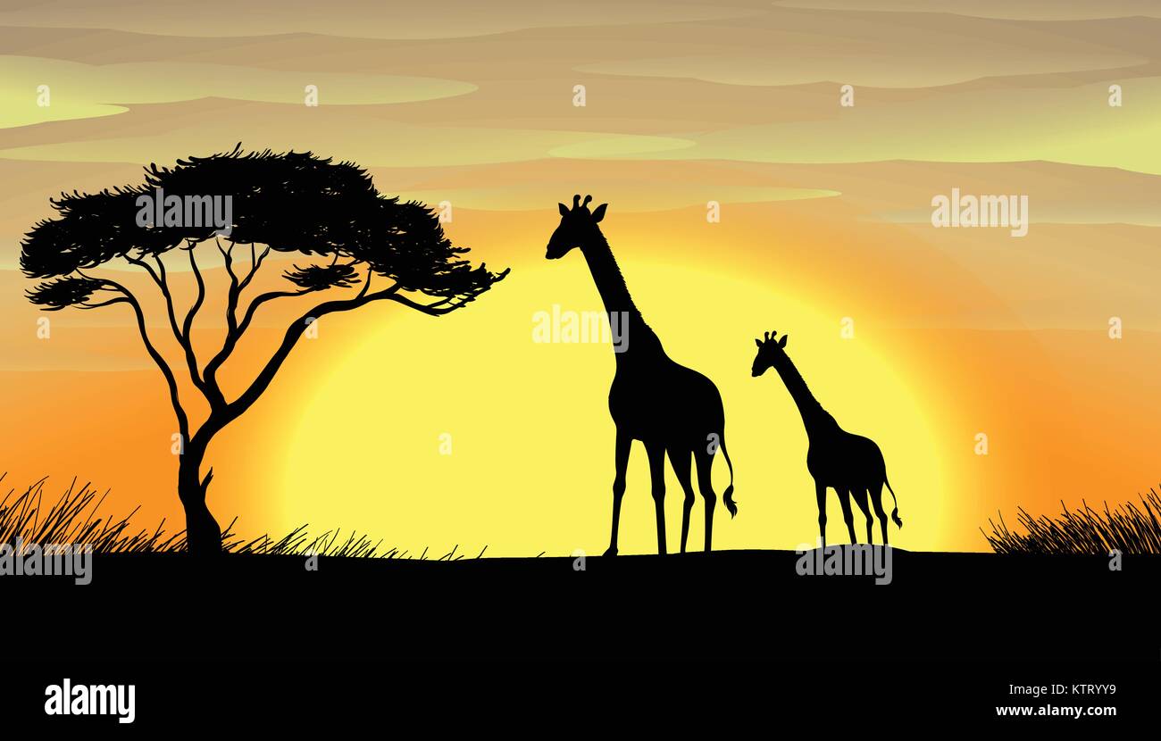 illustration of Giraffe in a beautiful nature Stock Vector Image & Art ...