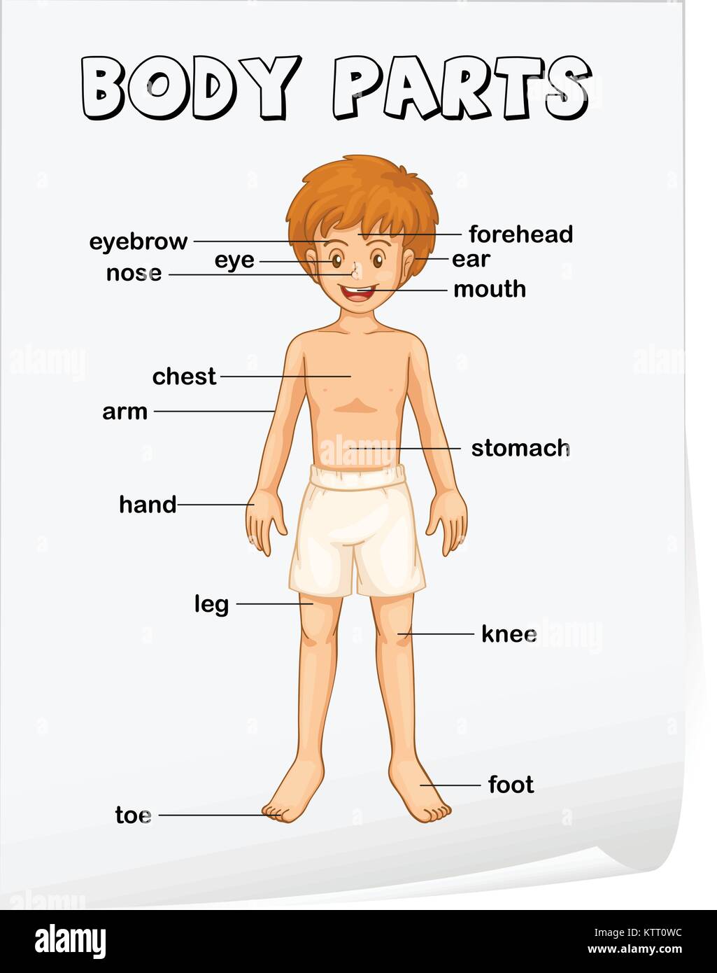 Illustration Of Boy Body Parts Stock Vector Image Art Alamy illustration-of-boy-body-parts-stock-vector-image-art-alamy