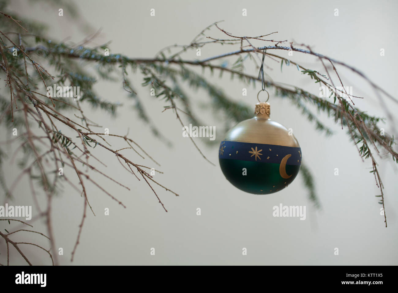 A sad hemlock Christmas tree, loosing lots of needles Stock Photo Alamy