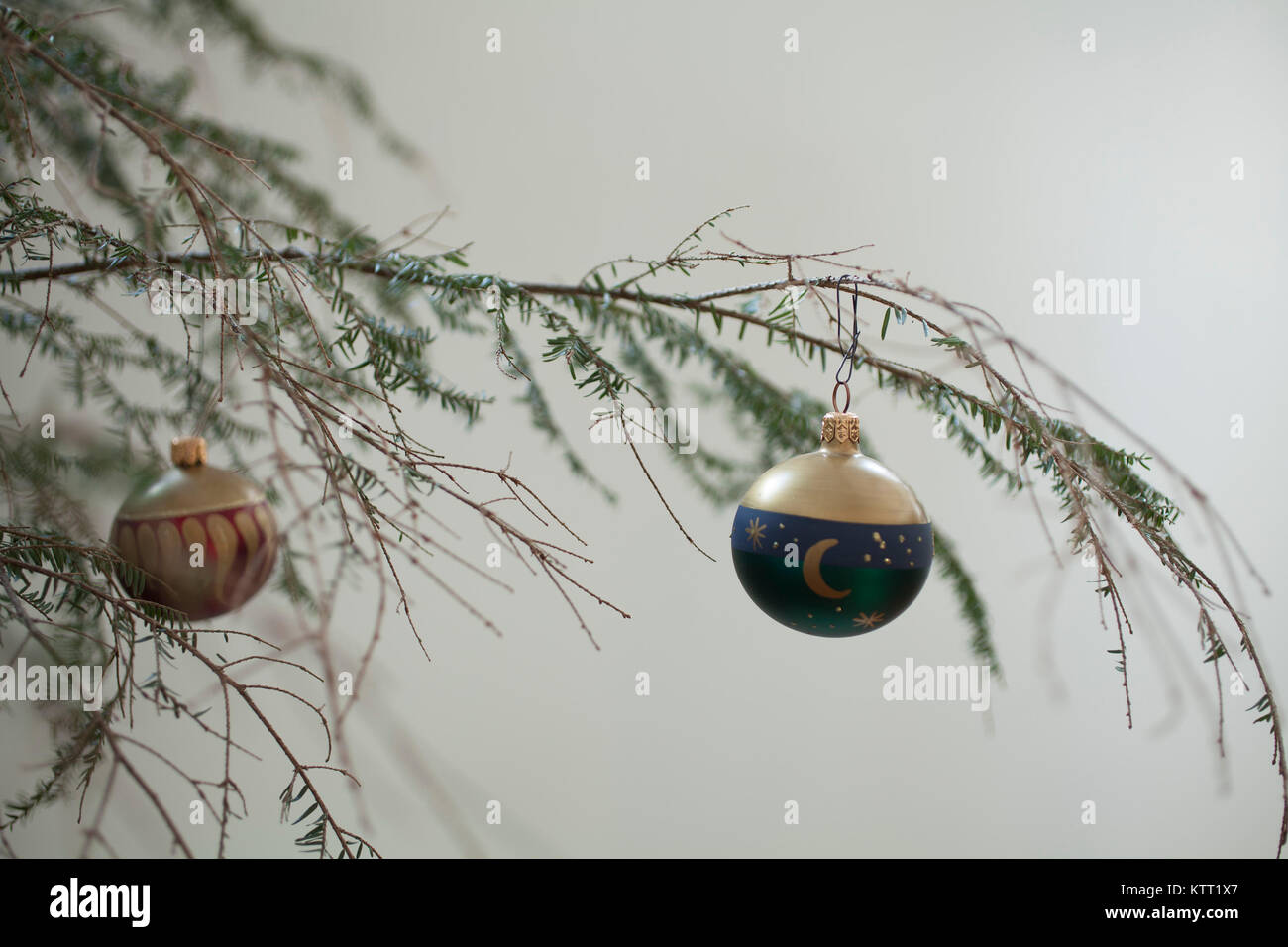 A sad hemlock Christmas tree, loosing lots of needles Stock Photo Alamy