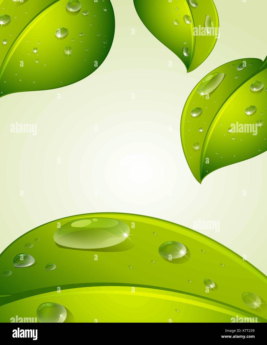 Illustration of green background with leaves Stock Vector Image & Art ...