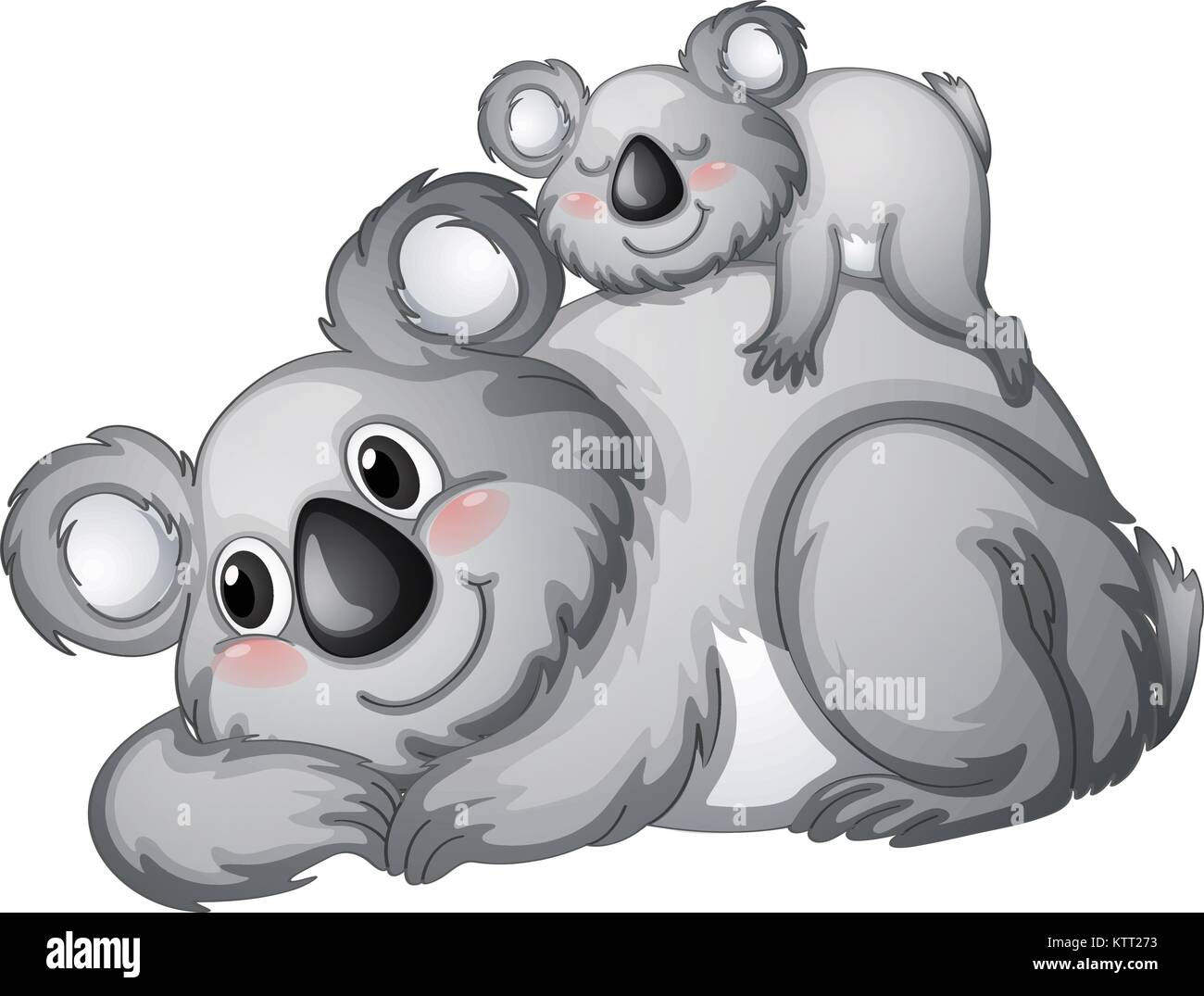 illustration of a koala bear on a white backgroundbackground Stock ...