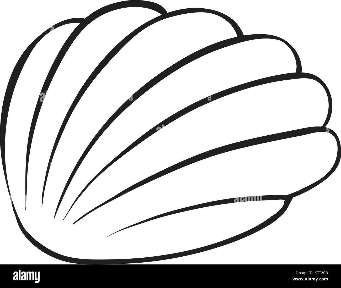 illustration of a cockleshell sketch on a white background Stock Vector ...