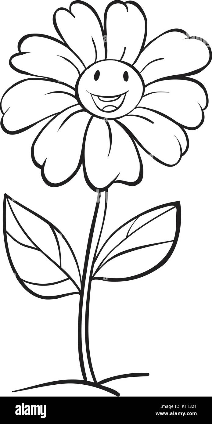 Flower Drawing PNG Transparent Images Free Download  Vector Files  Pngtree