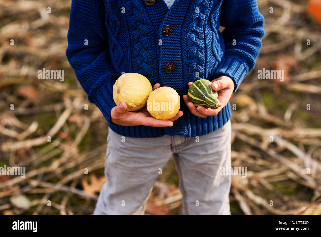 Boy standing in a field holding autumn squash Stock Photo