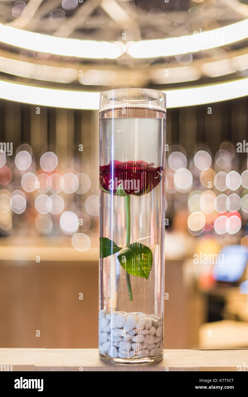 Rose submerged in water in a vase Stock Photo Alamy