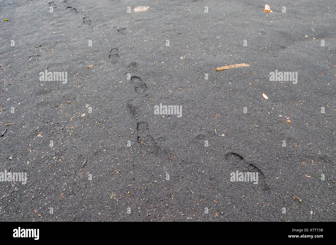 Footprints on slag heaps. Postindustrial landscape of abandoned nickel smelter in Evje, Norway, during foggy rainy day of late autumn. Stock Photo