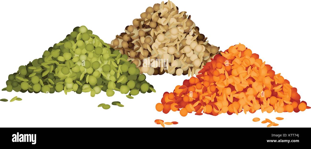 Various types of lentils piles set Stock Vector