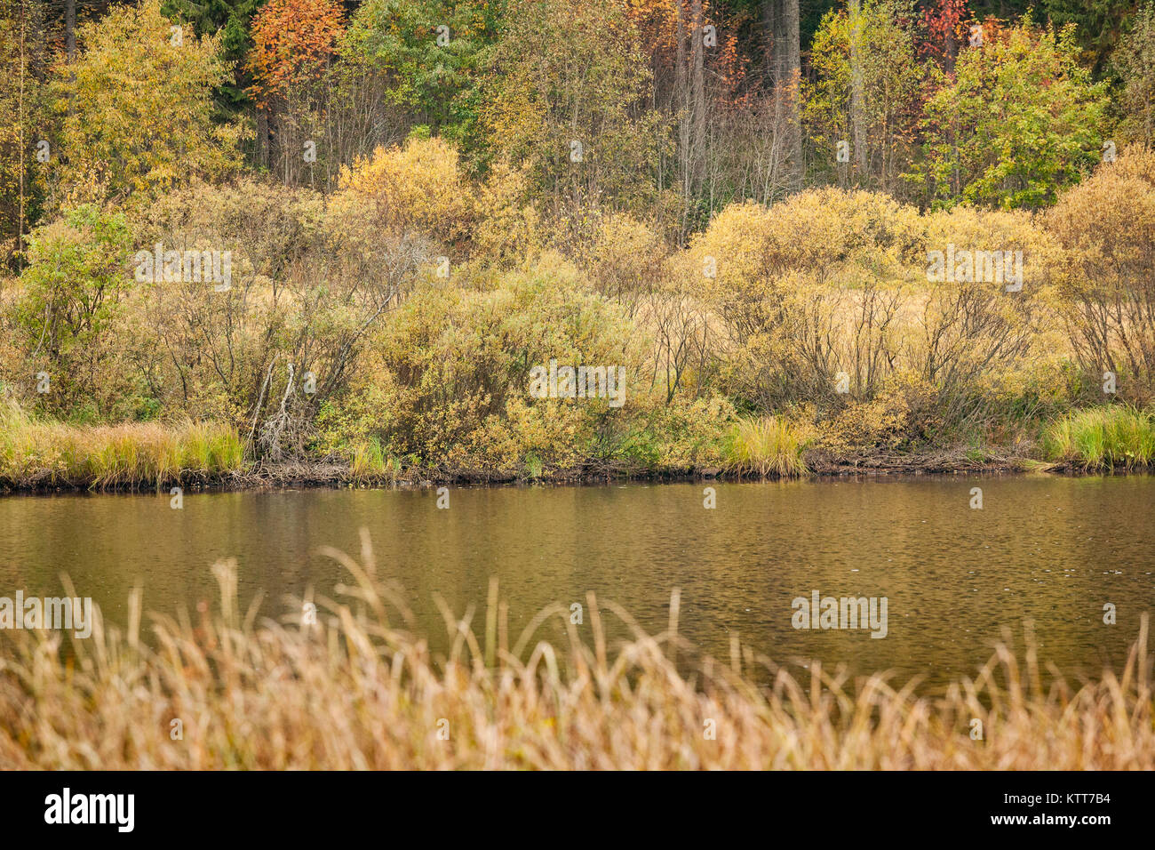 Beautiful nordic scenery colorful hi-res stock photography and images ...
