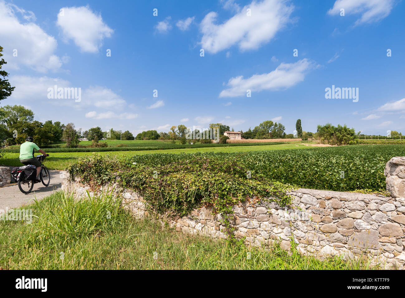 Countryside landscape in summer with cyclist. Stock Photo