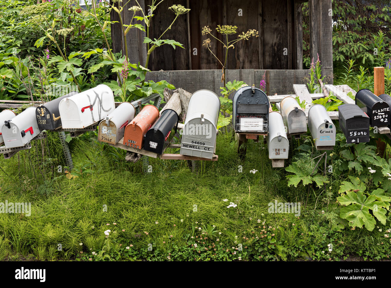 Rural mailboxes line a street corner in remote Fritz Creek, Alaska