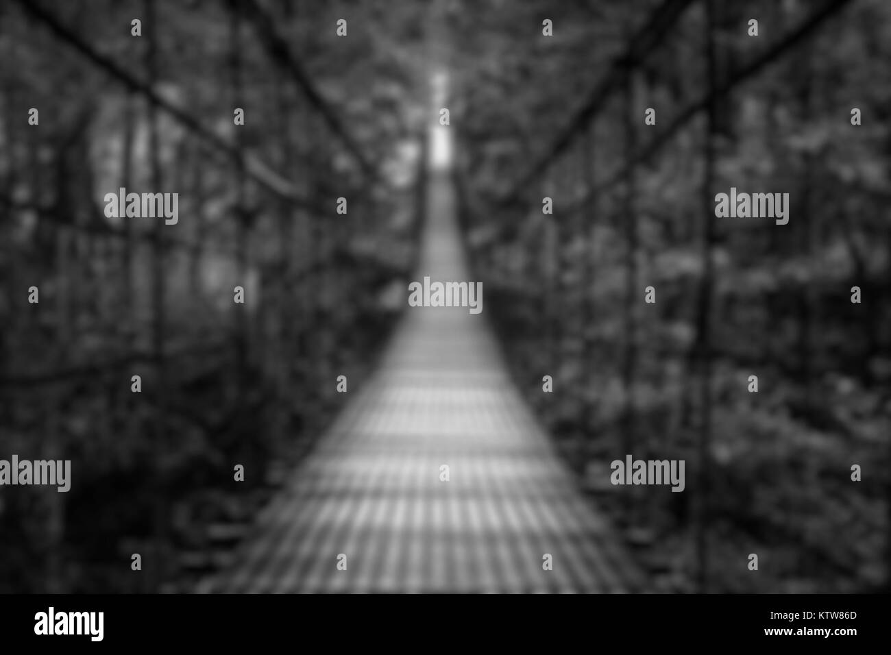 Mountain suspension bridge Black and White Stock Photos & Images - Alamy