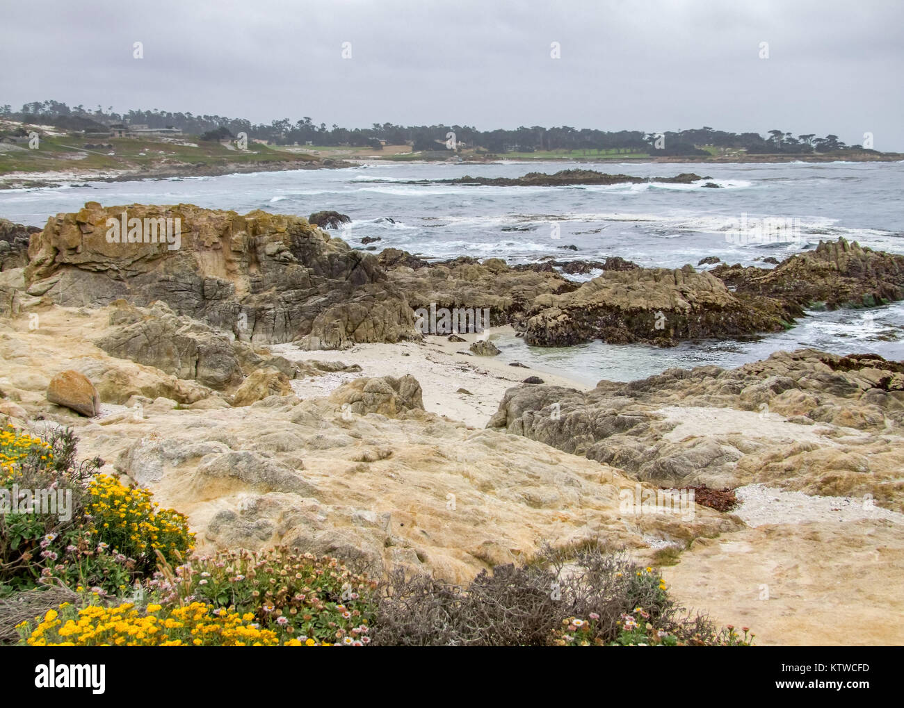 coastal scenery around the Monterey Peninsula in California, USA Stock