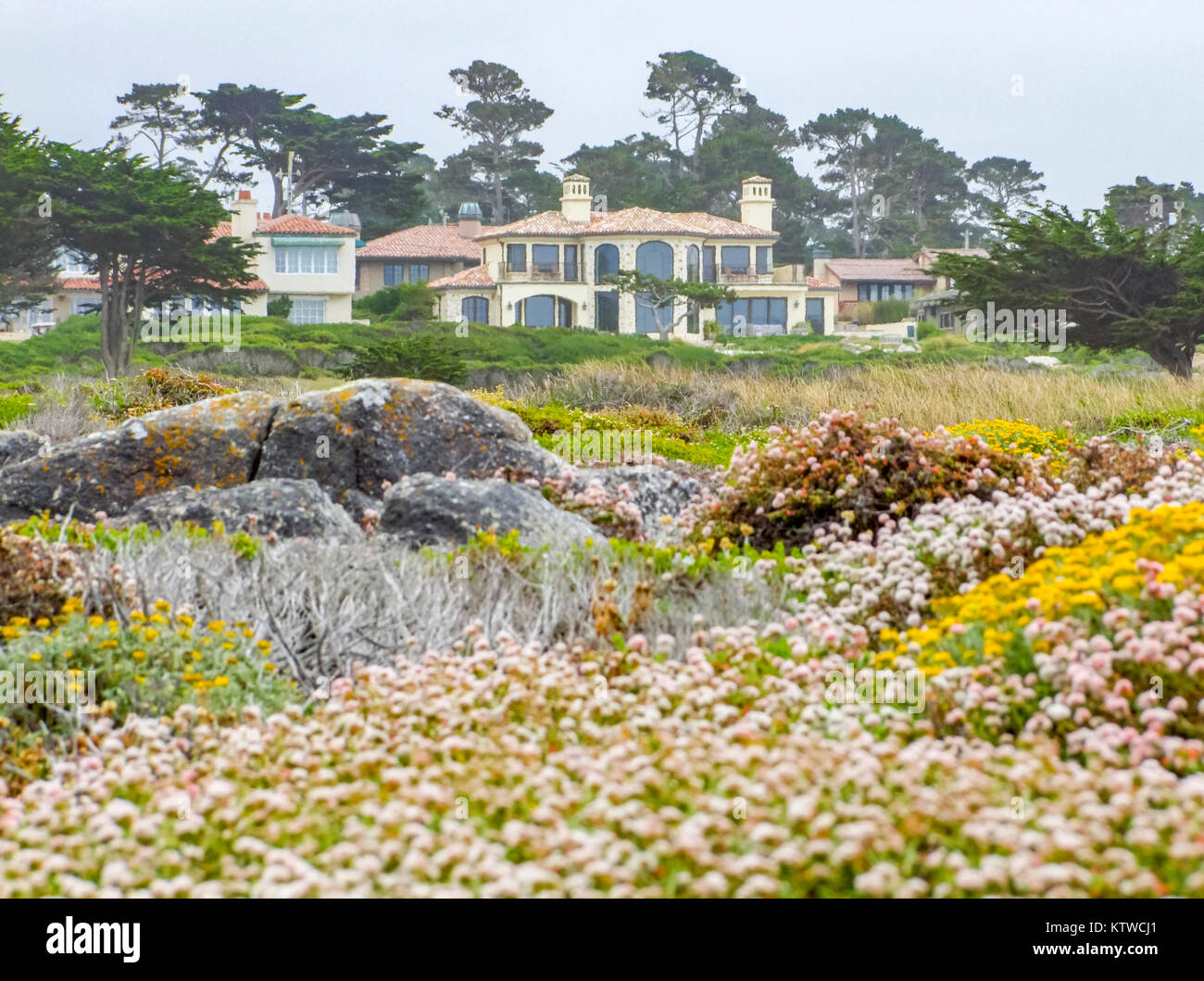 idyllic overgrown coastal scenery with various plants and flowers around a house at the Monterey Peninsula in California, USA Stock Photo