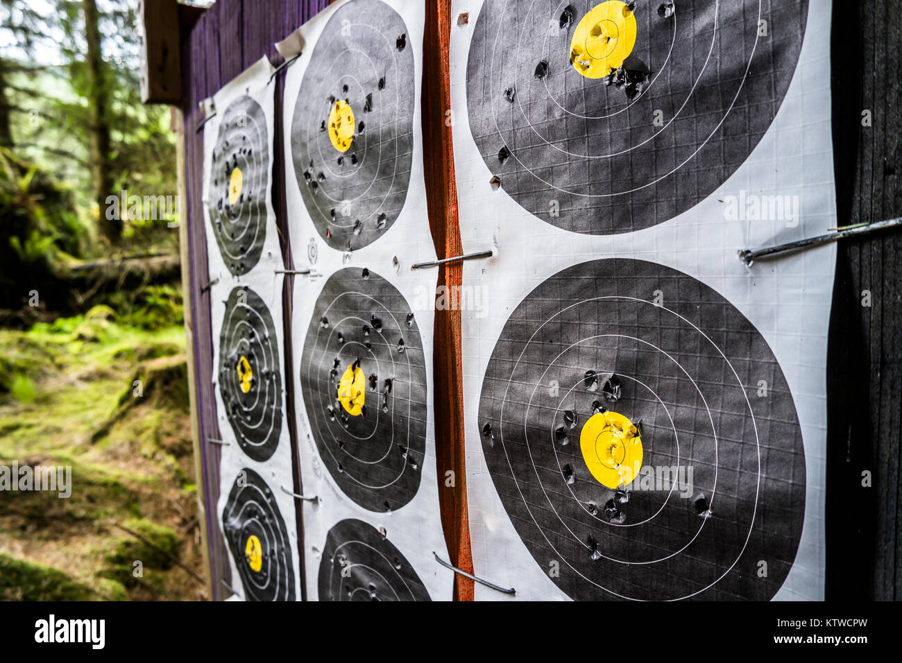 Shooting training camp with target in the forest Stock Photo Alamy