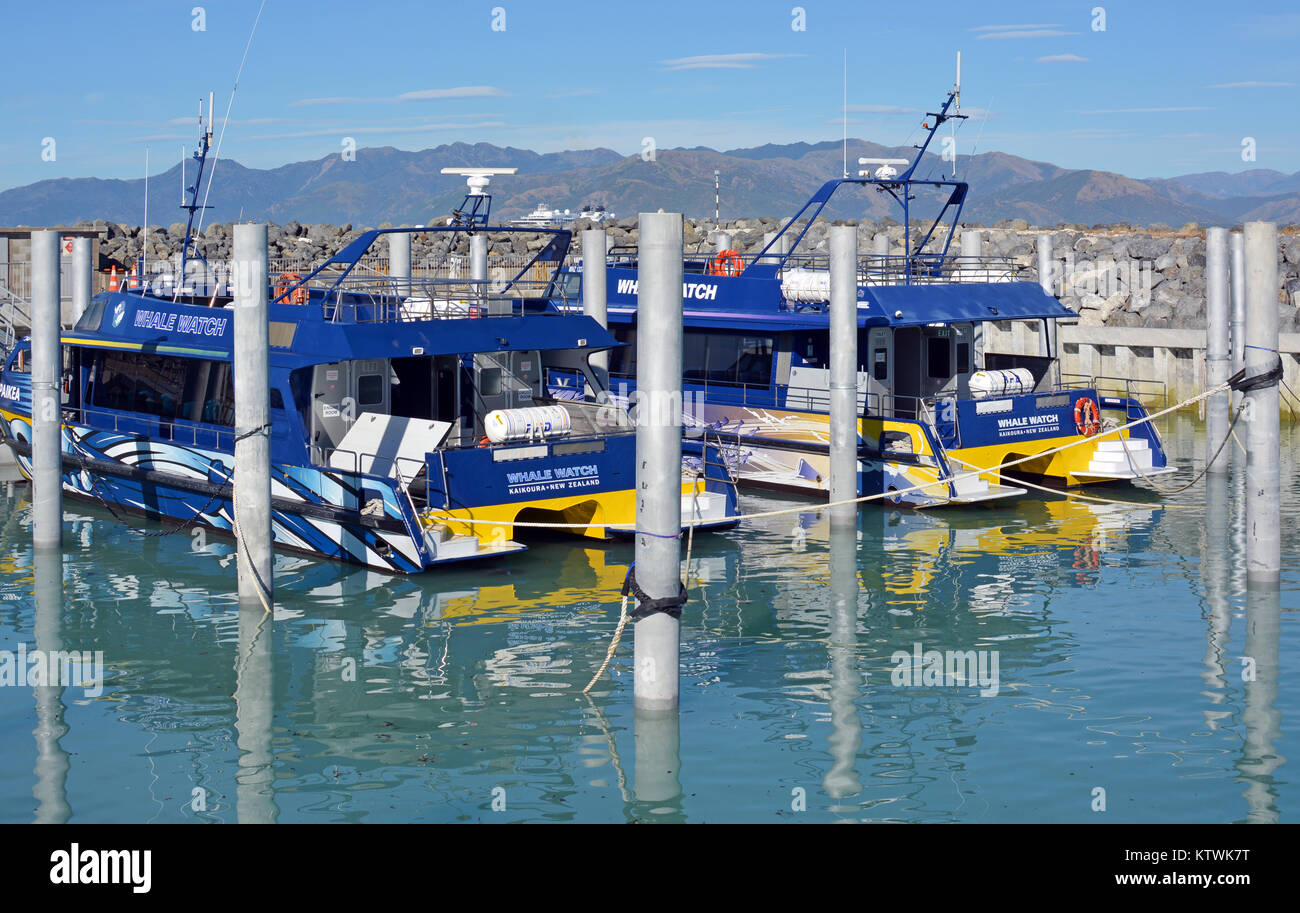 Kaikoura, New Zealand - December 15, 2017: Whale Watch Kaikoura New Zealand boats are once again in business after 12 months cleanup following dramati Stock Photo