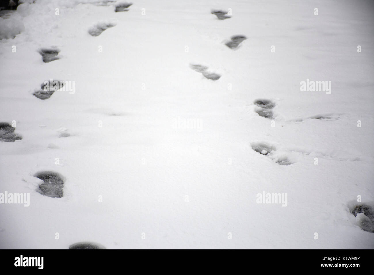 Footprint of human on snow covered on ground at outdoor at top of mountain in Kaunergrat nature park while snowing in Tyrol, Austria Stock Photo