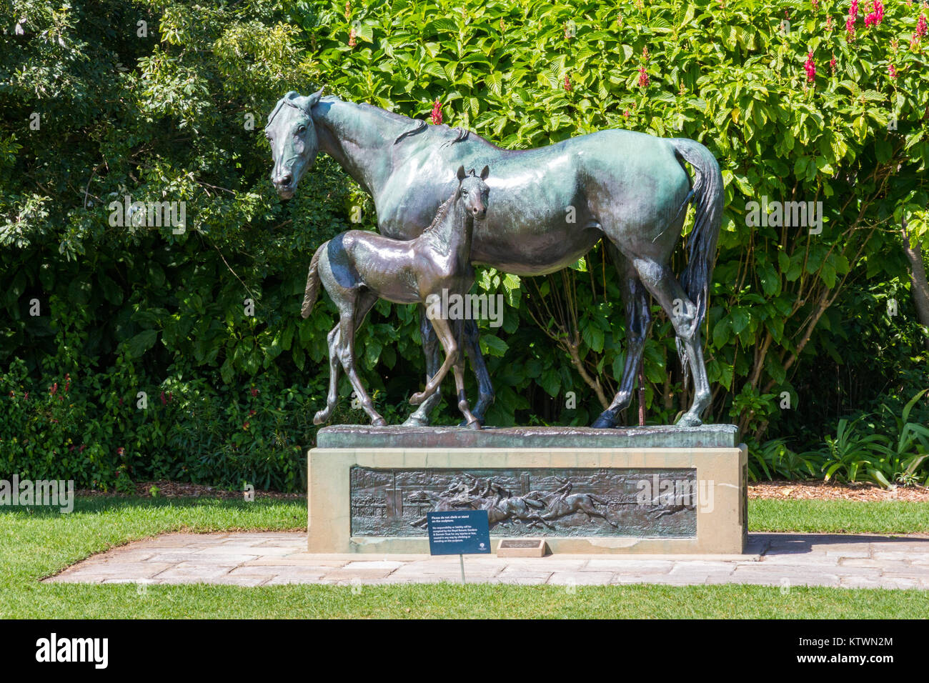 Mare and foal statue, Royal Botanic Gardens, Sydney, New South Wales, NSW, Australia Stock Photo