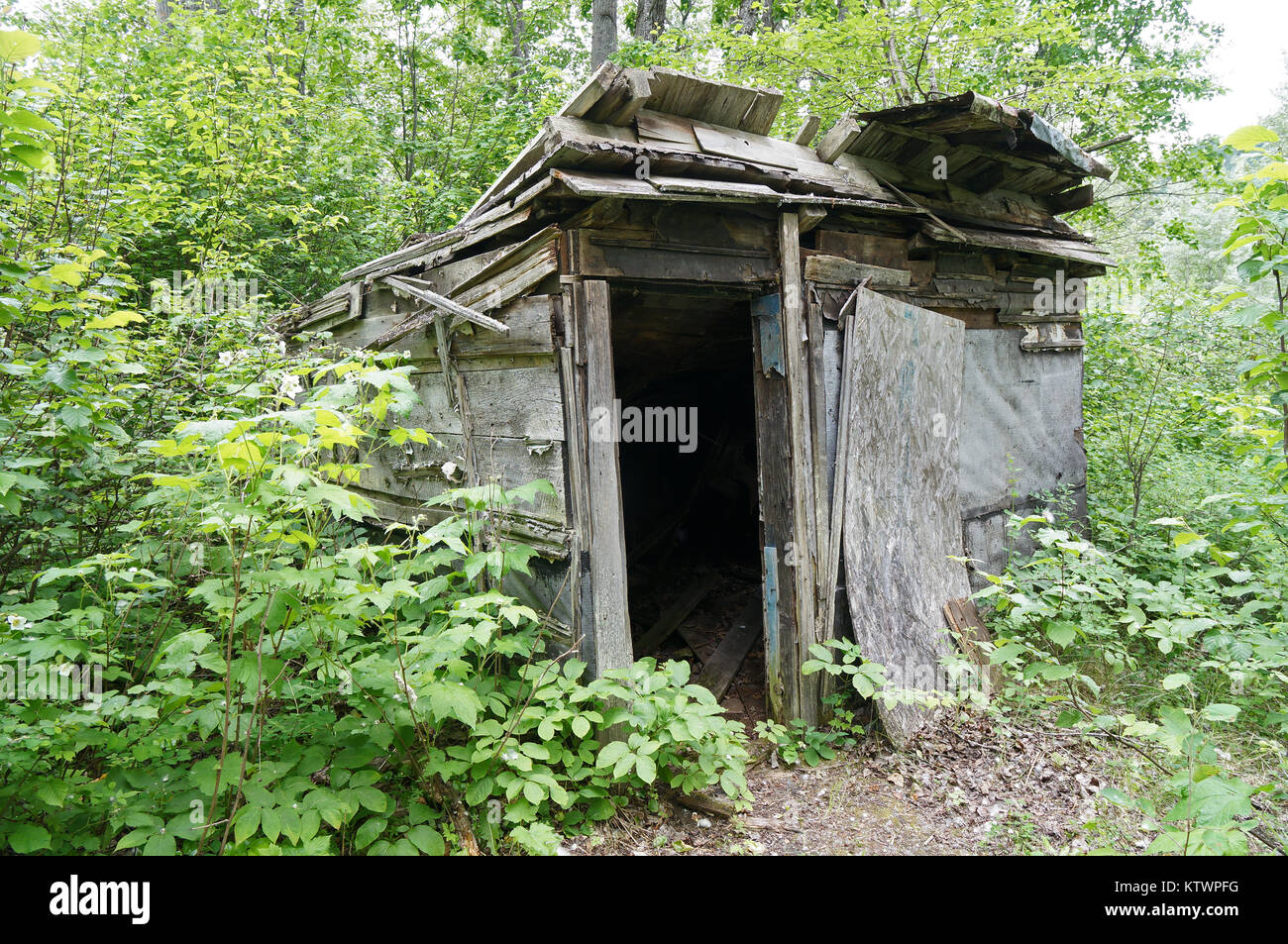 Quesnel Forks, a ghosttown along the Cariboo Wagon Road  in British Columbia. Stock Photo