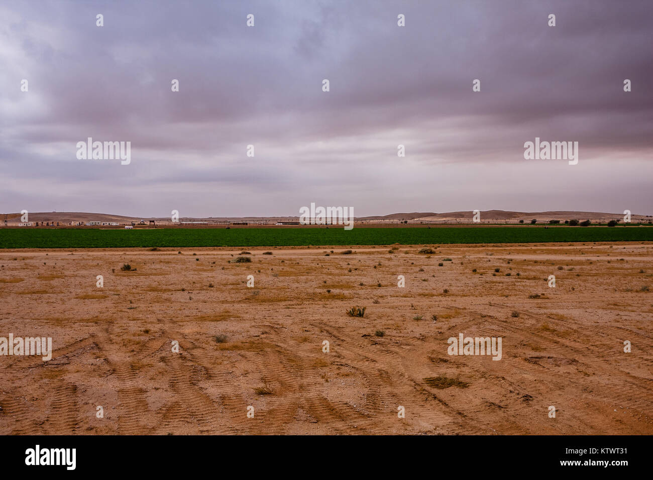Irrigated agricultural fields in the Riyadh Province Stock Photo