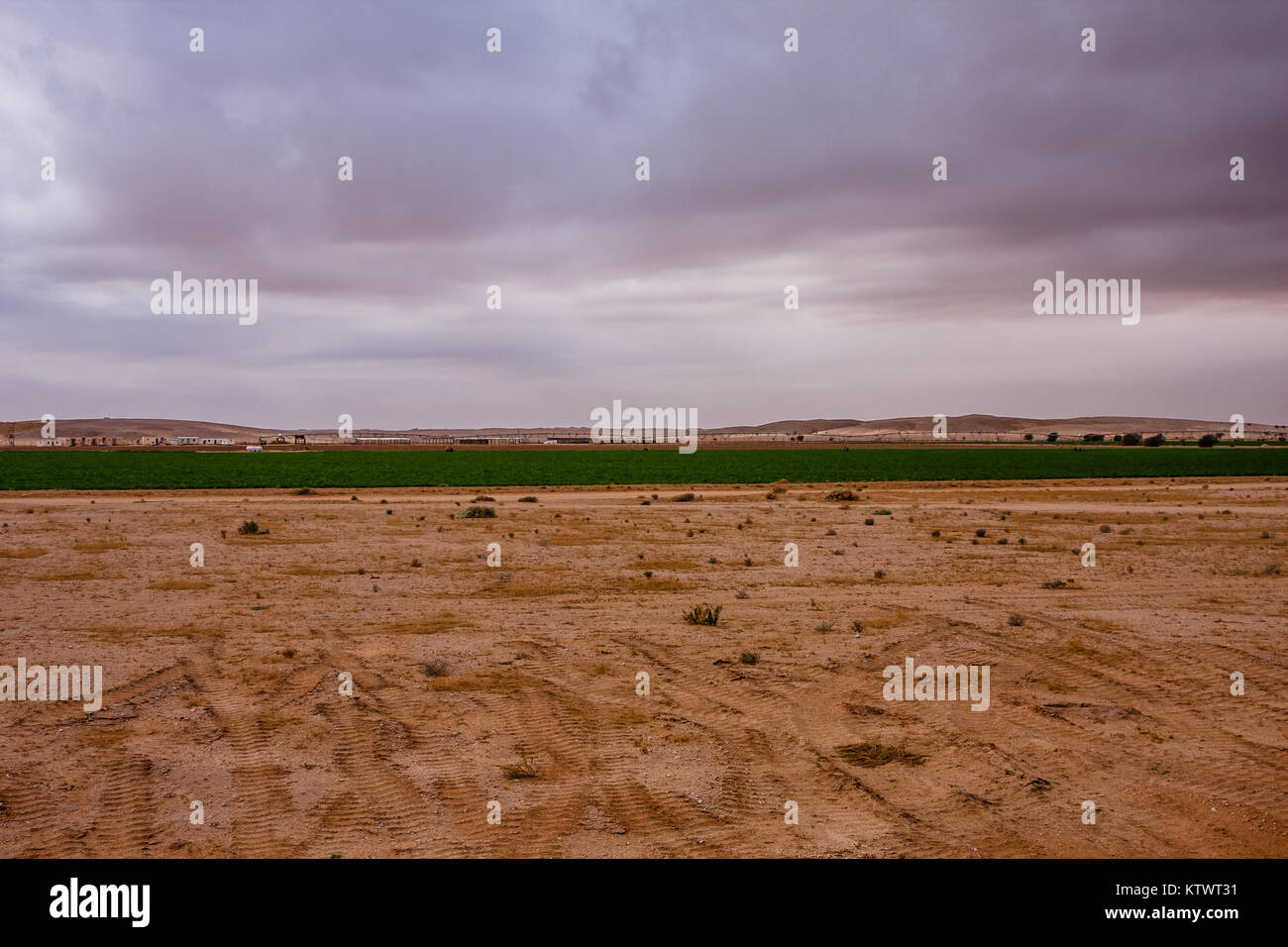 Riyadh province hi-res stock photography and images - Alamy