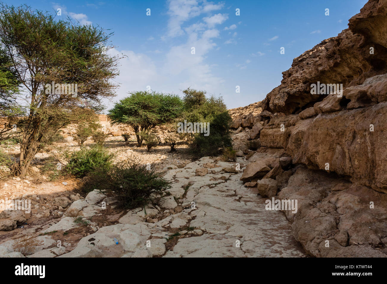 A wadi near Abu Jifan Fort, Riyadh Province, Saudi Arabia Stock Photo