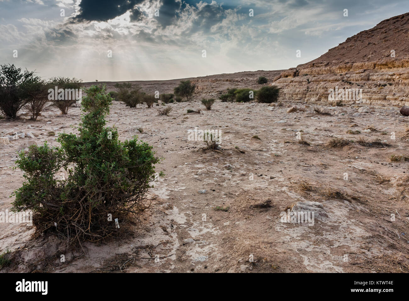 A wadi near Abu Jifan Fort, Riyadh Province, Saudi Arabia Stock Photo